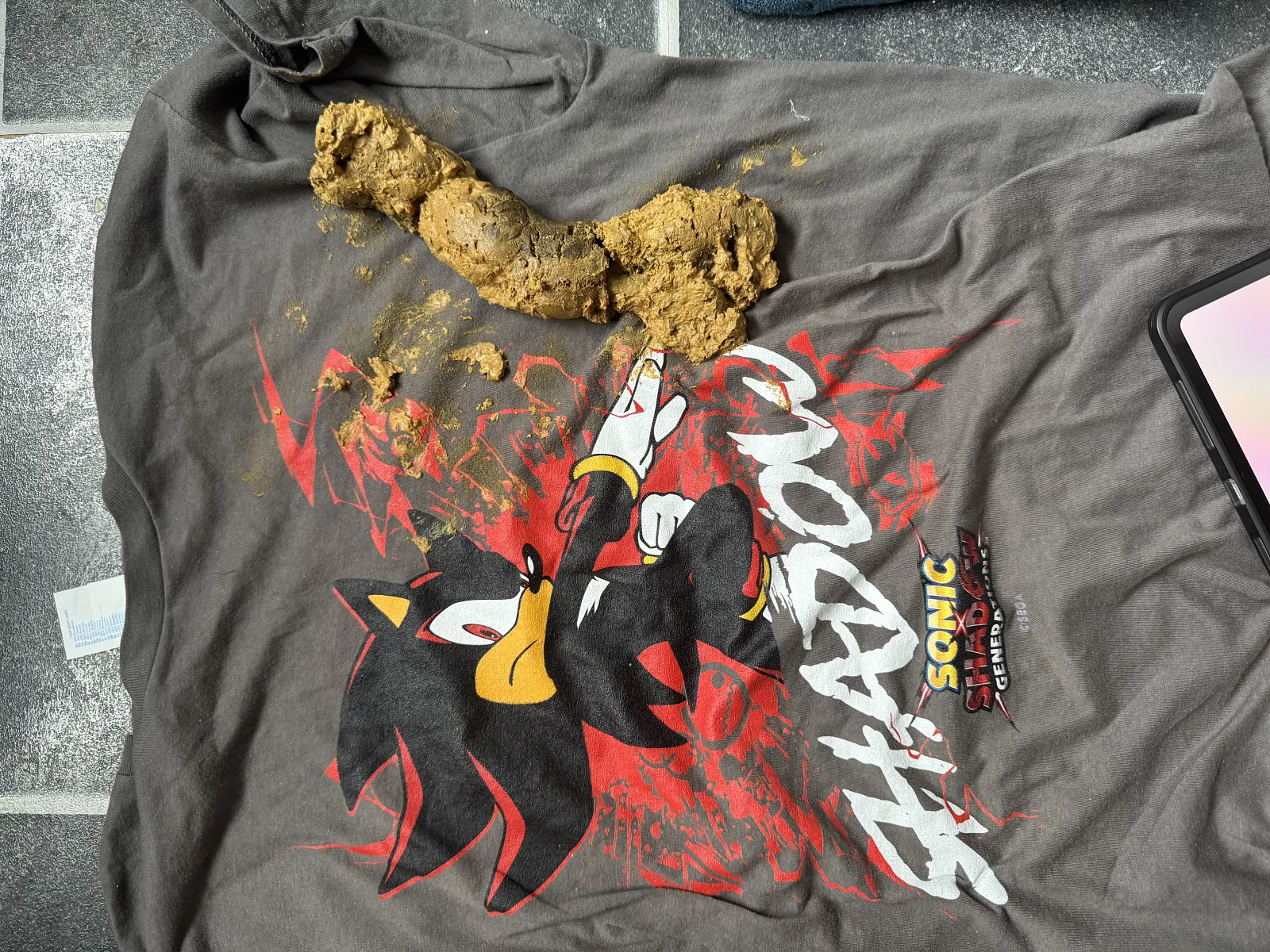 Shadow The Hedgehog Poop