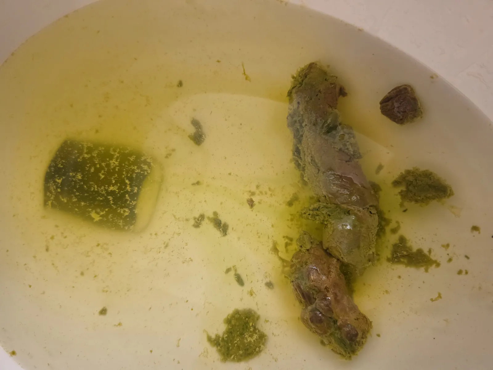 POOPZOMBIE