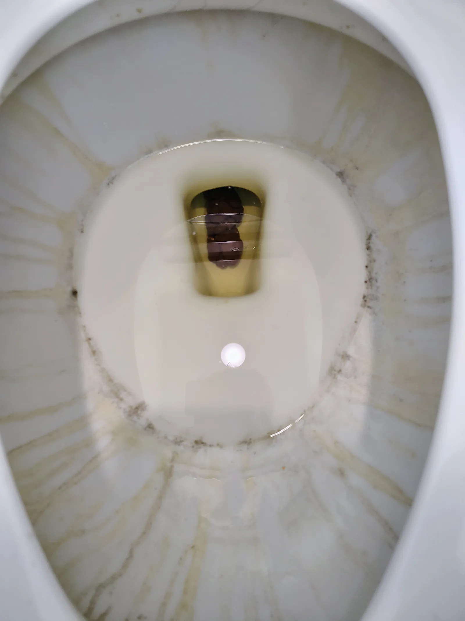 Smol poo