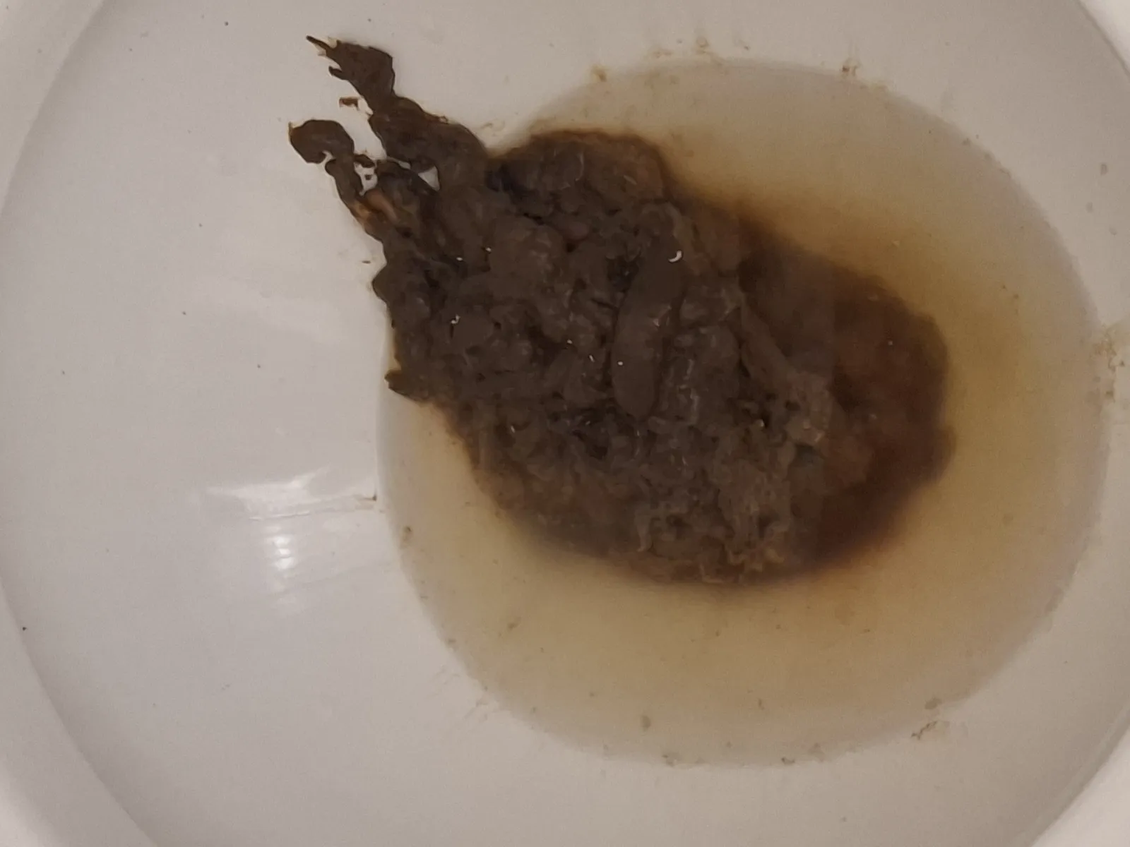 Shitpotle bowl