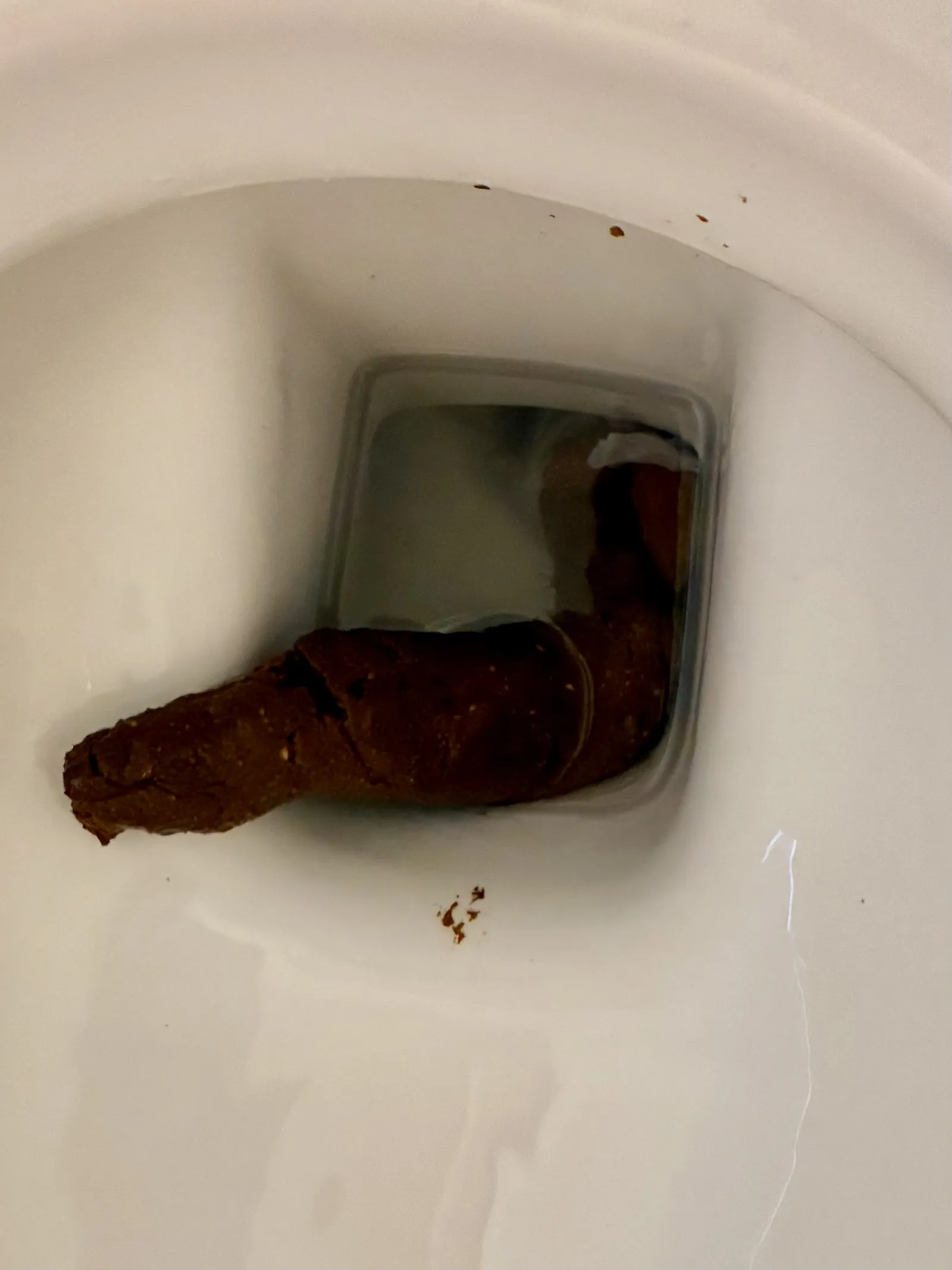 Clogged the toilet at the library again