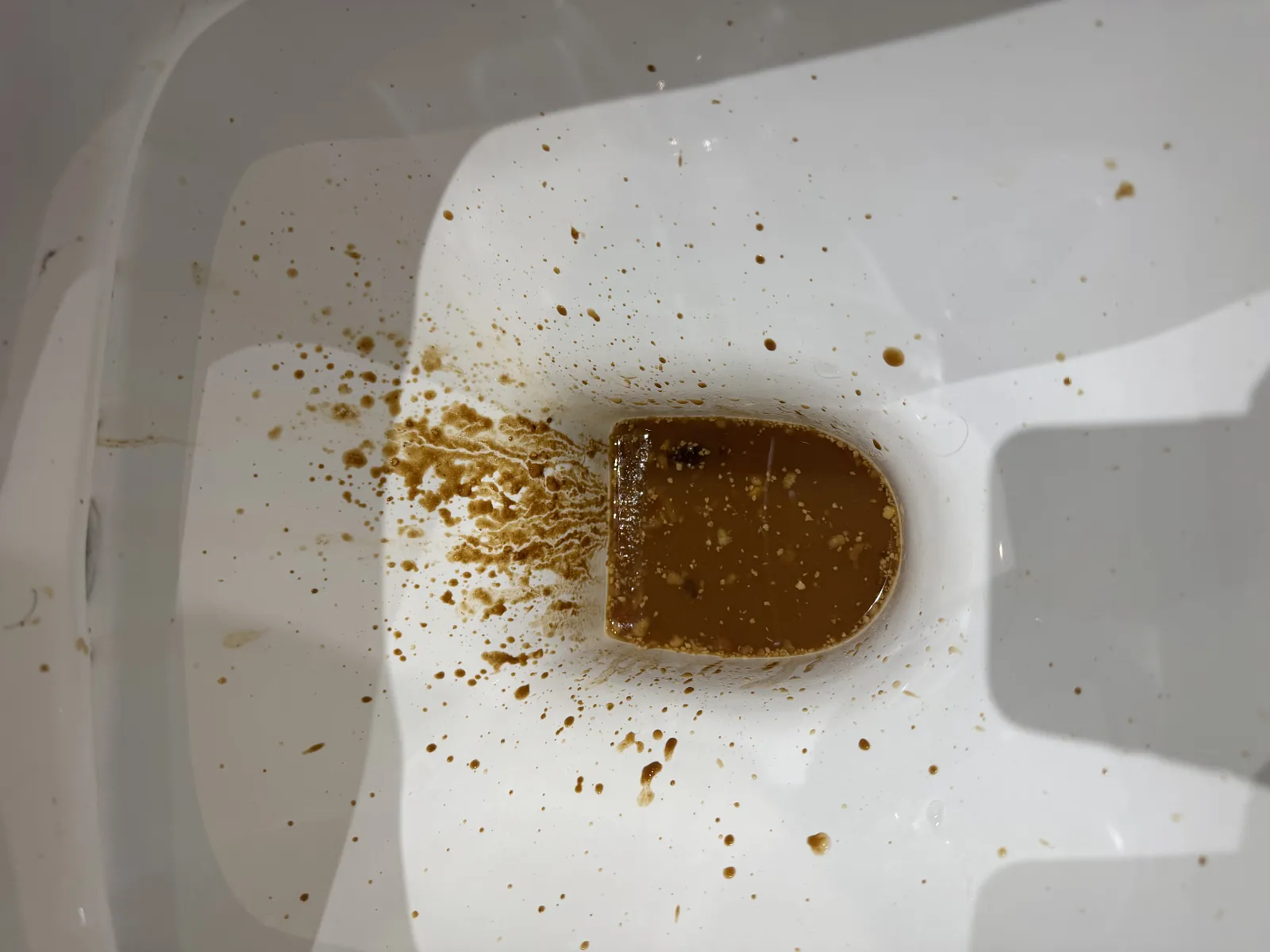 Ass Gravy