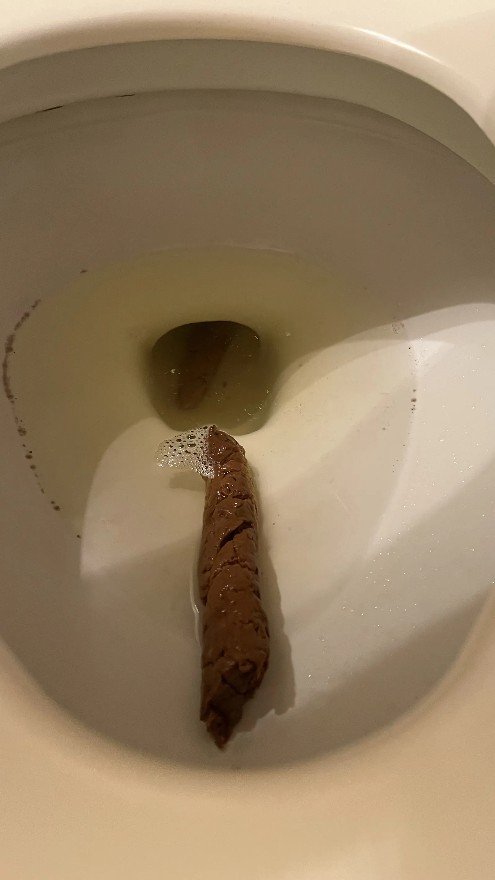 Fish out of water