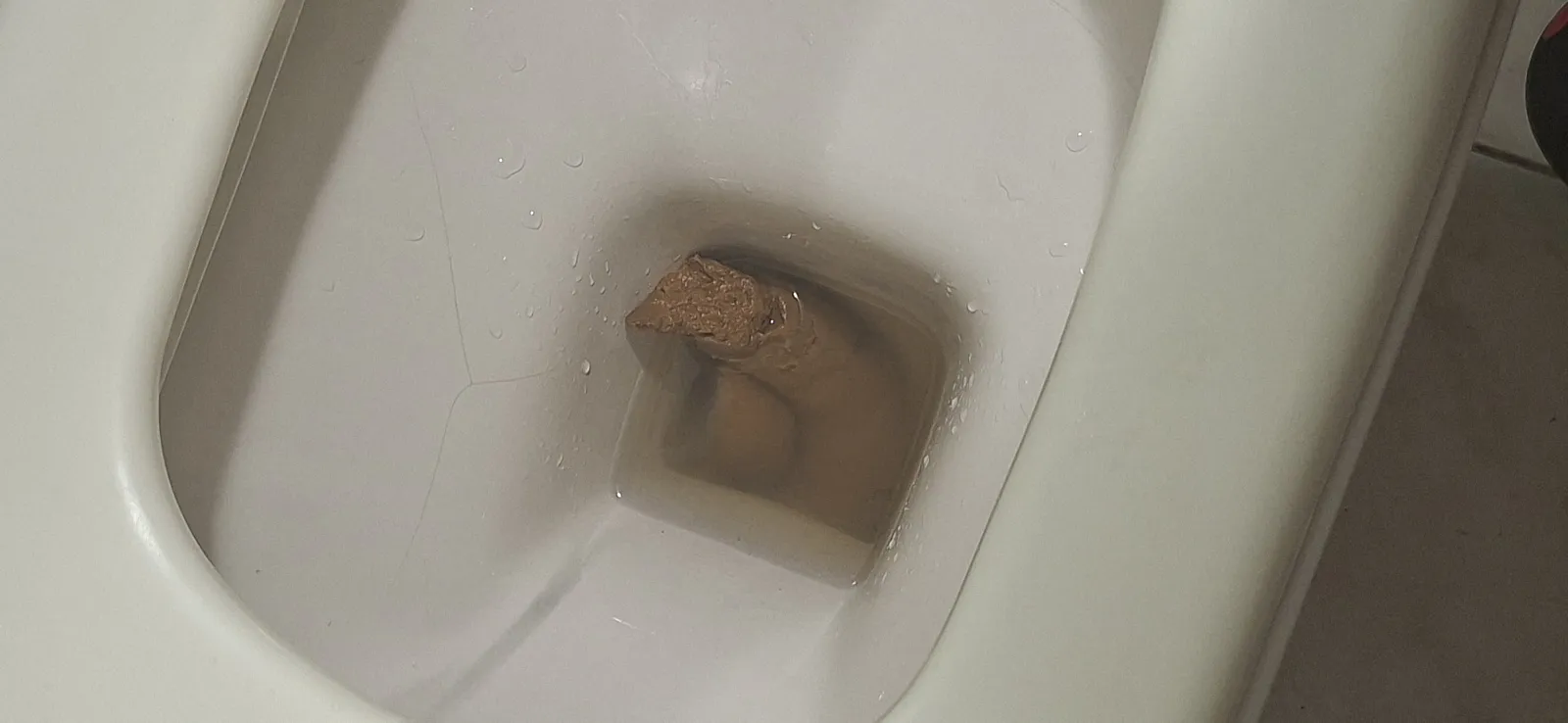 MiddleEastern Poo