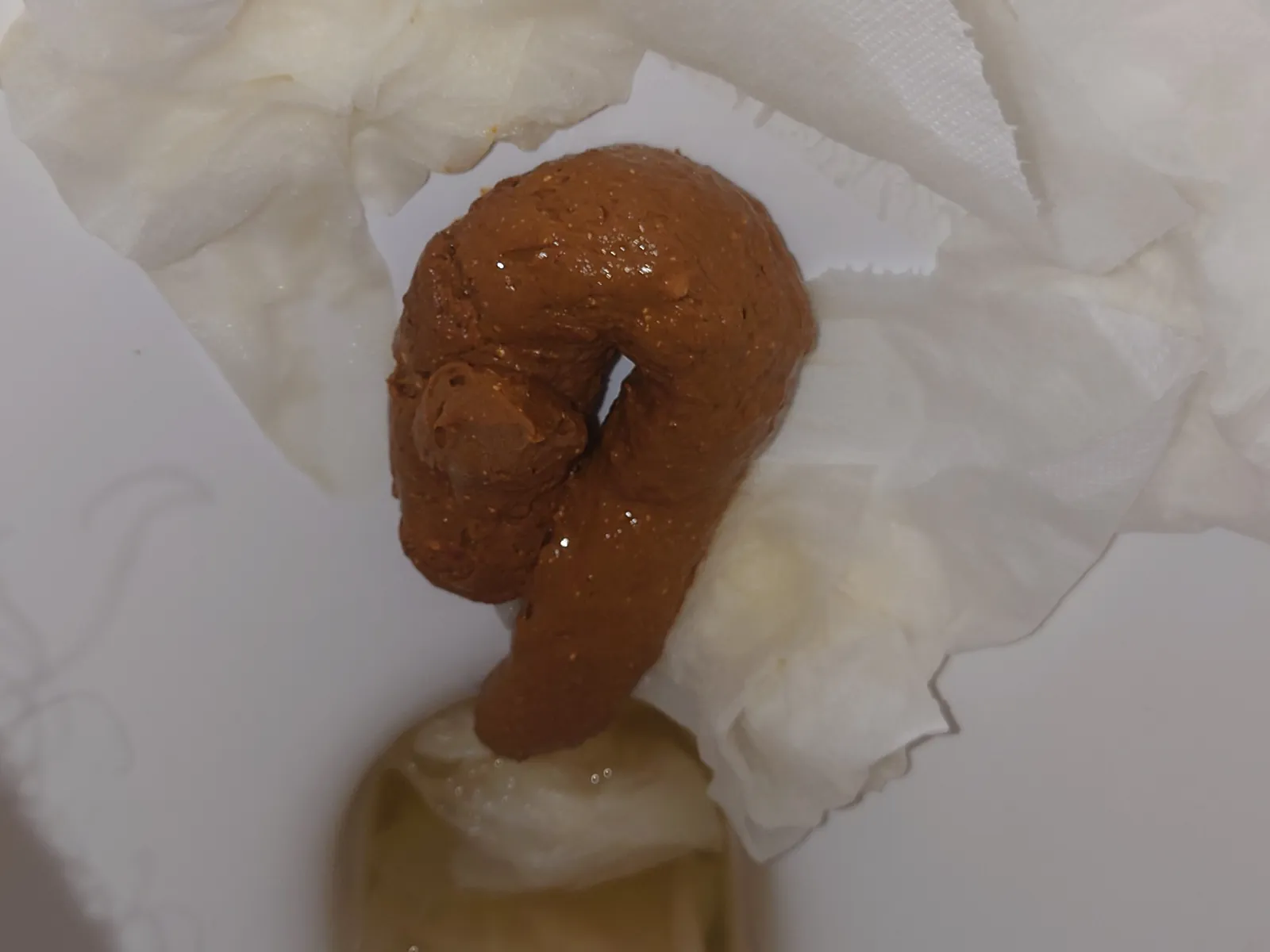 folded poo
