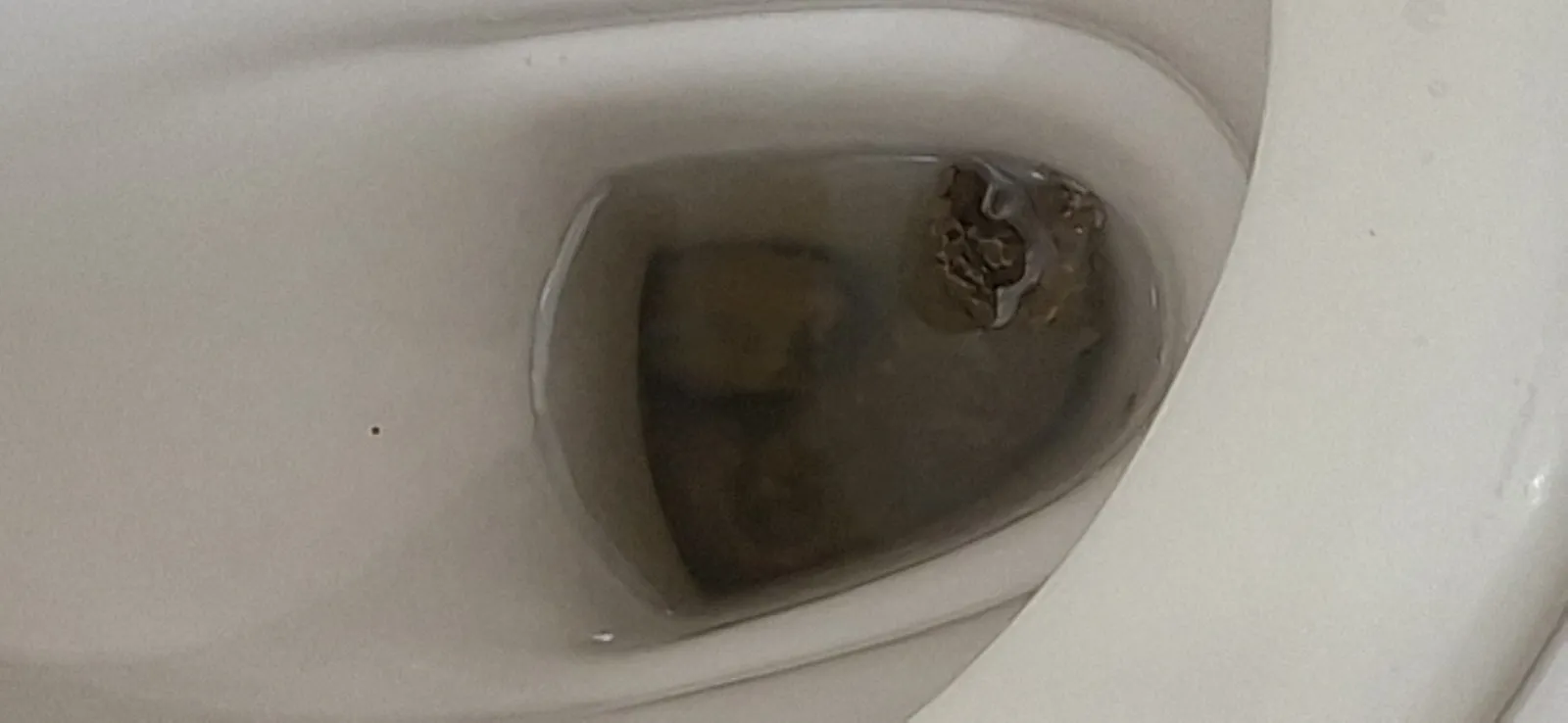 Desperate Poo