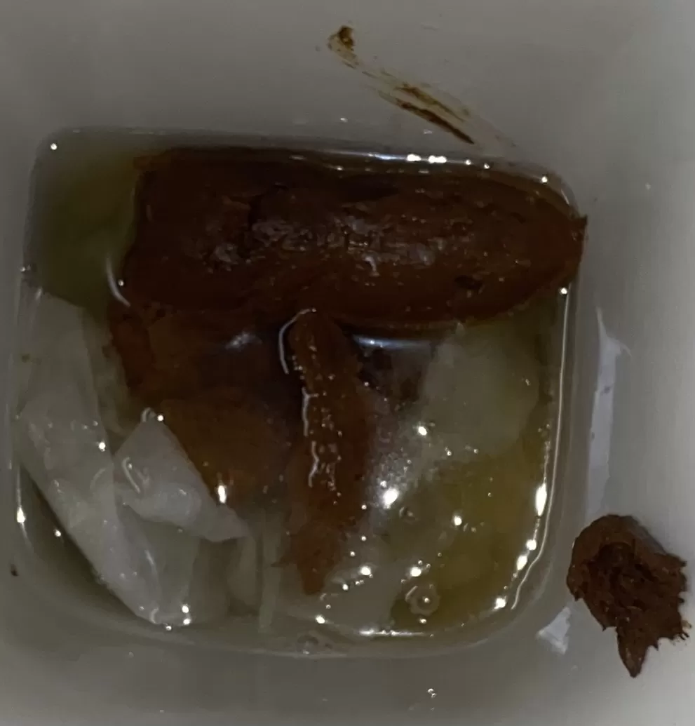 famale italian poop