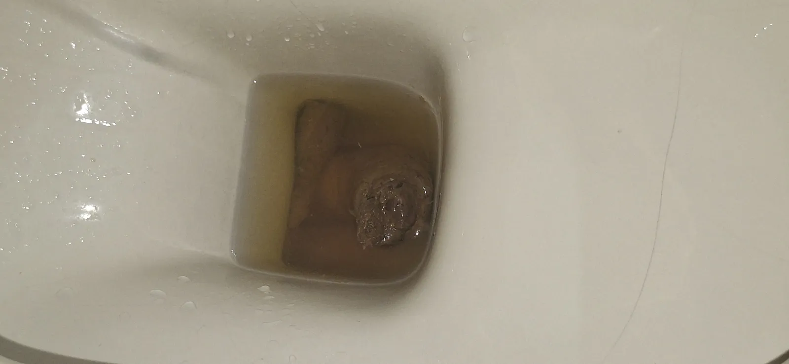Had to Poop bad