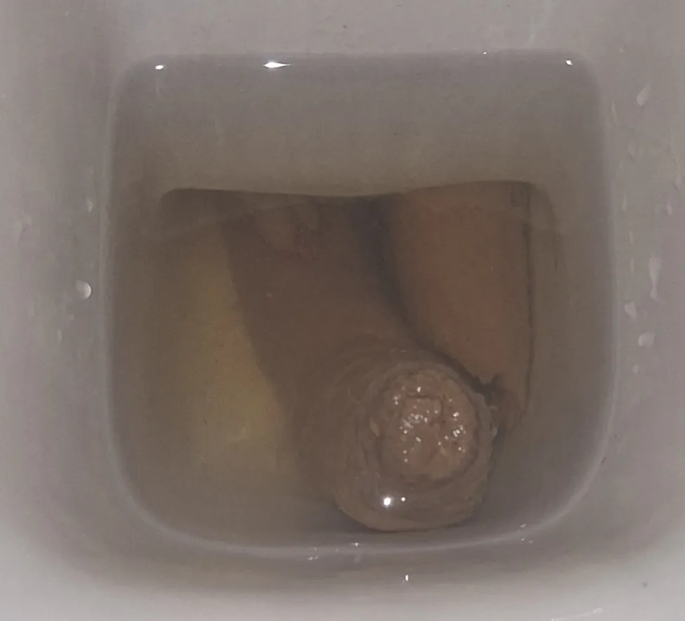Friday Loo