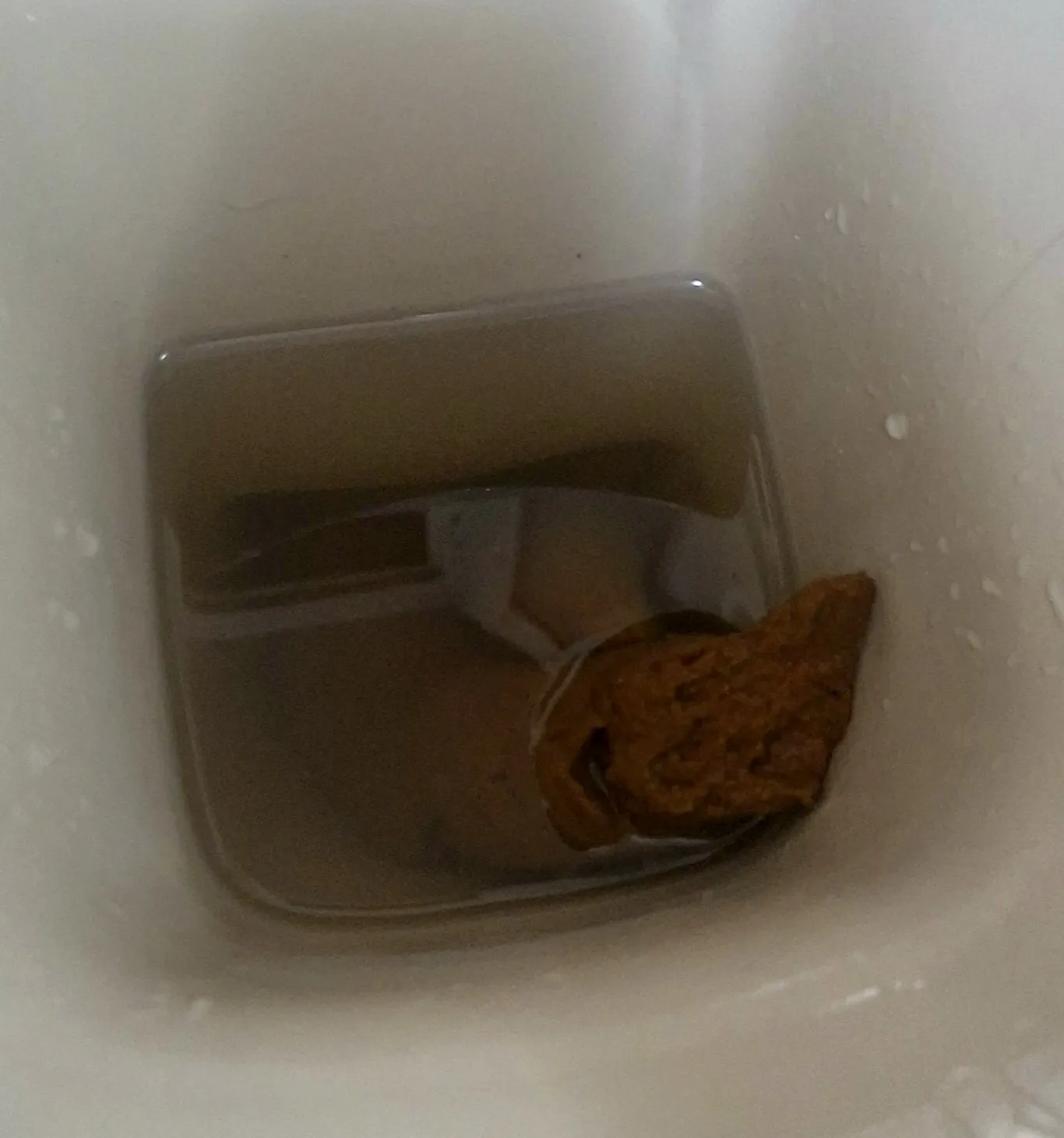 Work Toilet