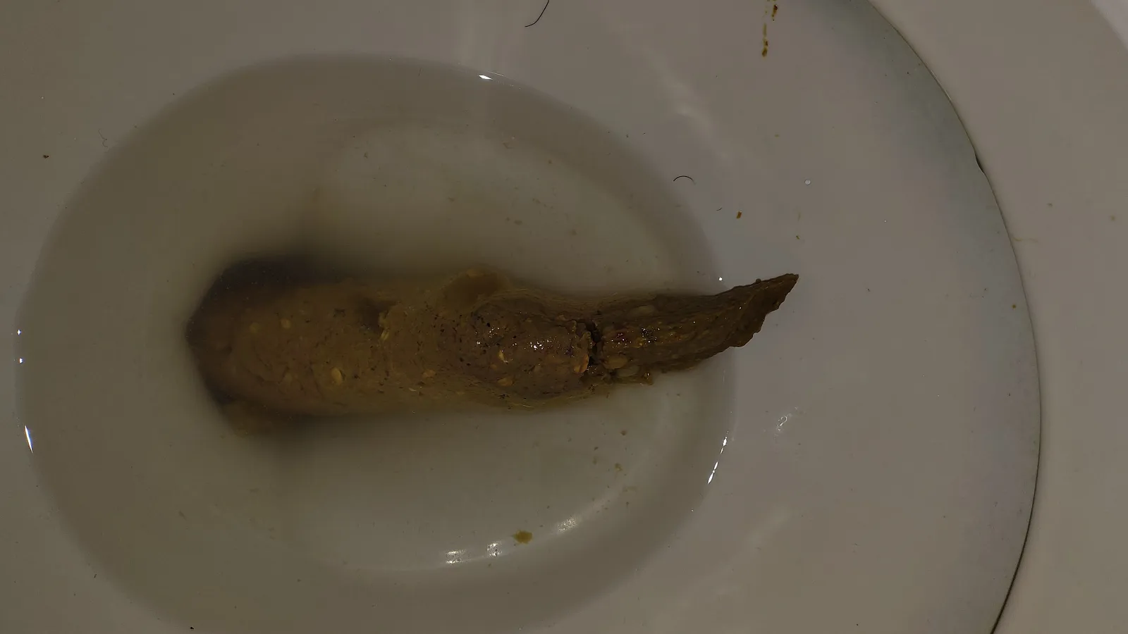 LARGESTPOOP