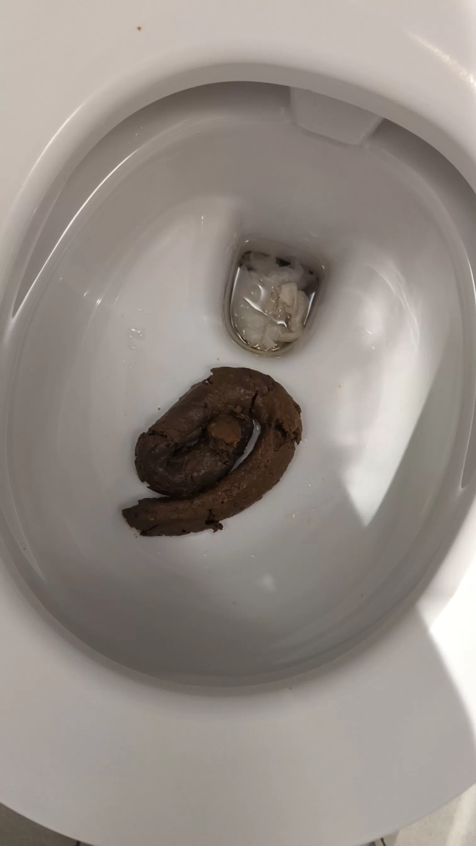 Gym poo