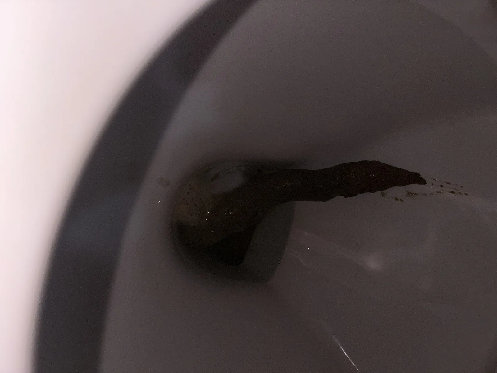 Holy shit 2.0 - Nessy