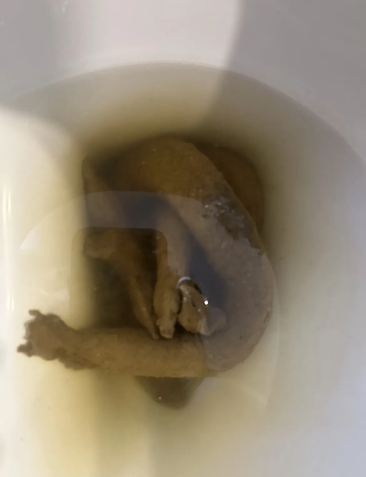 Toilet’s full