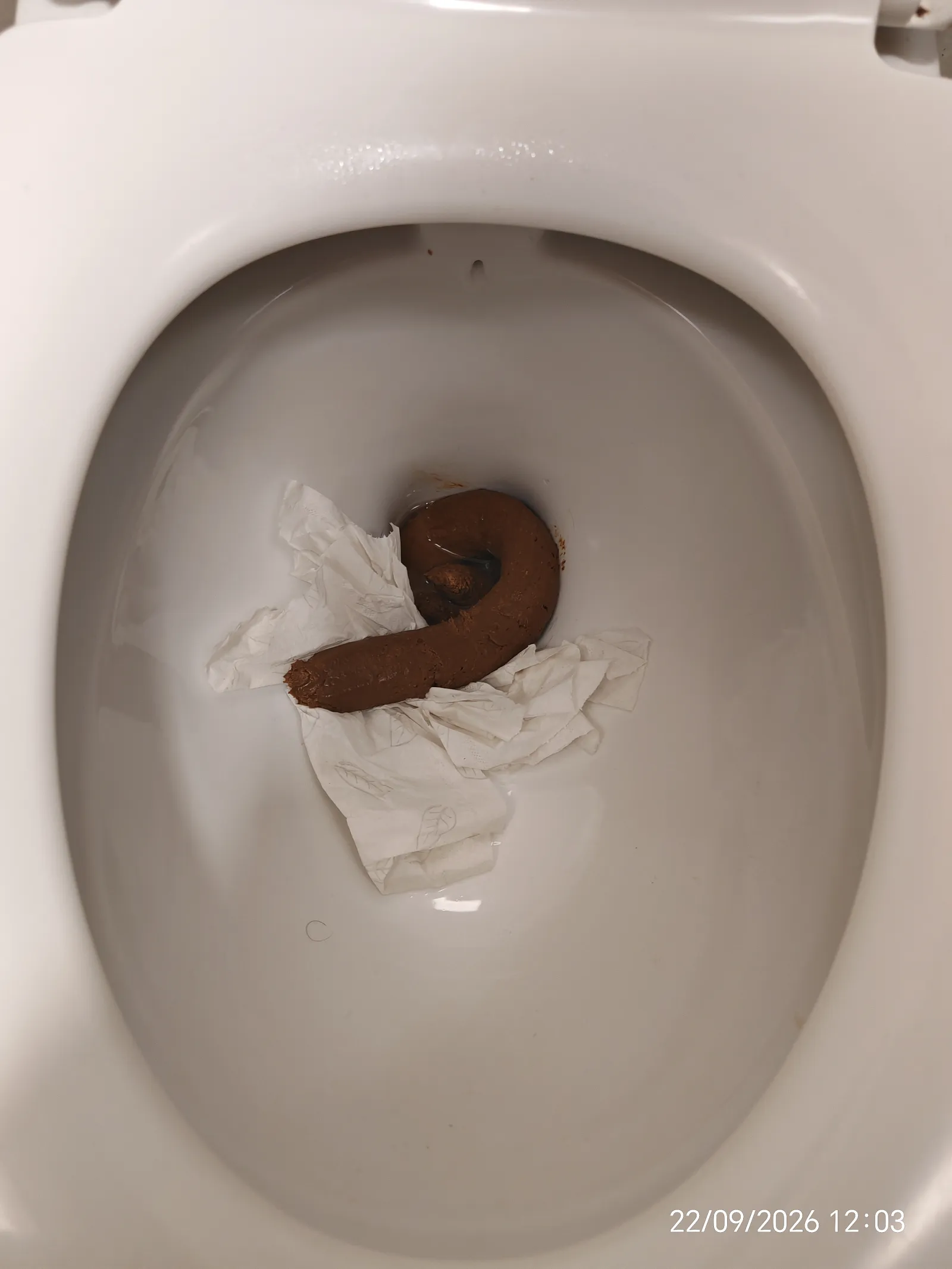 12 incher