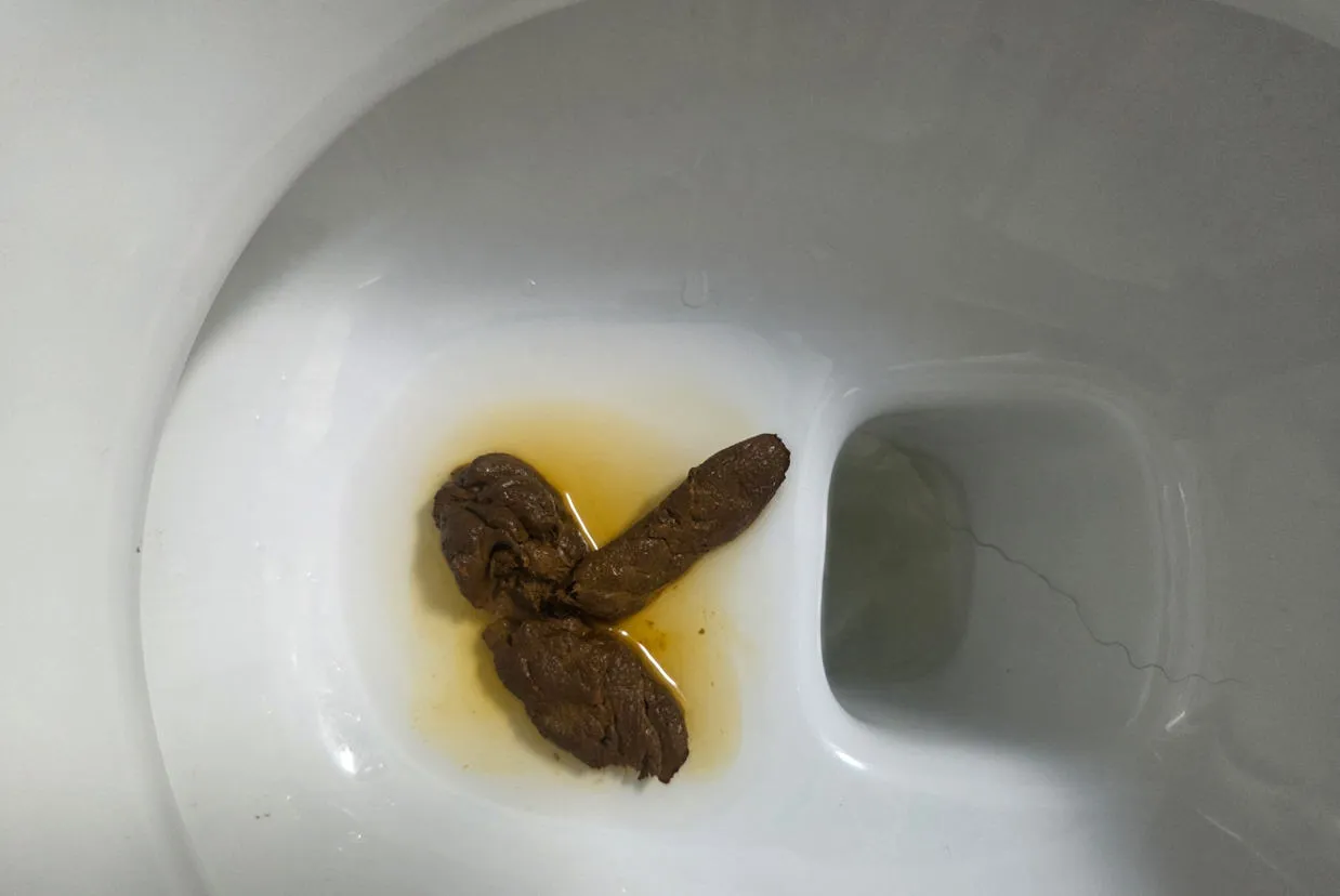 Number 2 of number 1