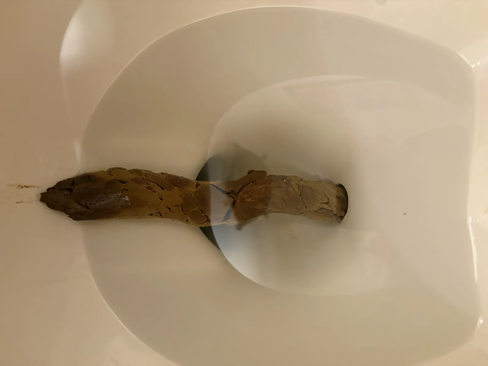 Wouldn’t fit in the bowl!
