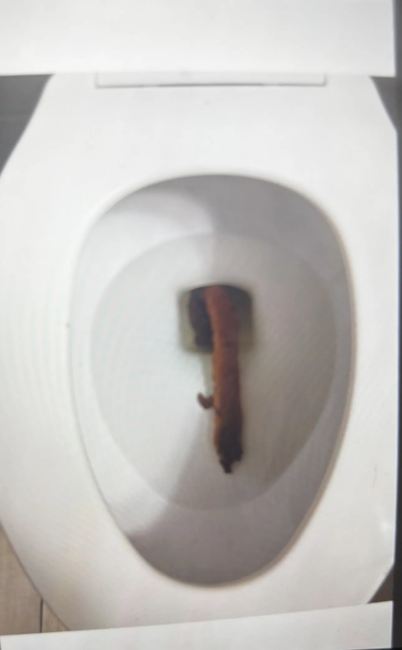 Girlfriend poo! She’s impressed!