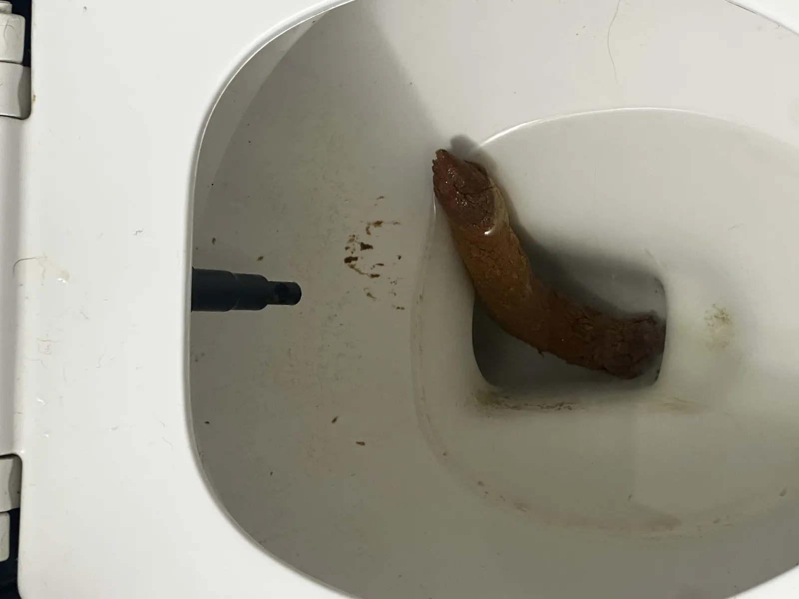 One Log To Rule Them All