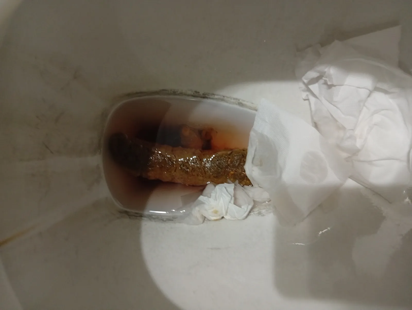 Bloody Turd