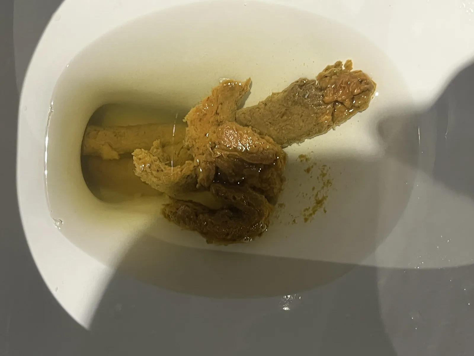 Turd for Tina 2