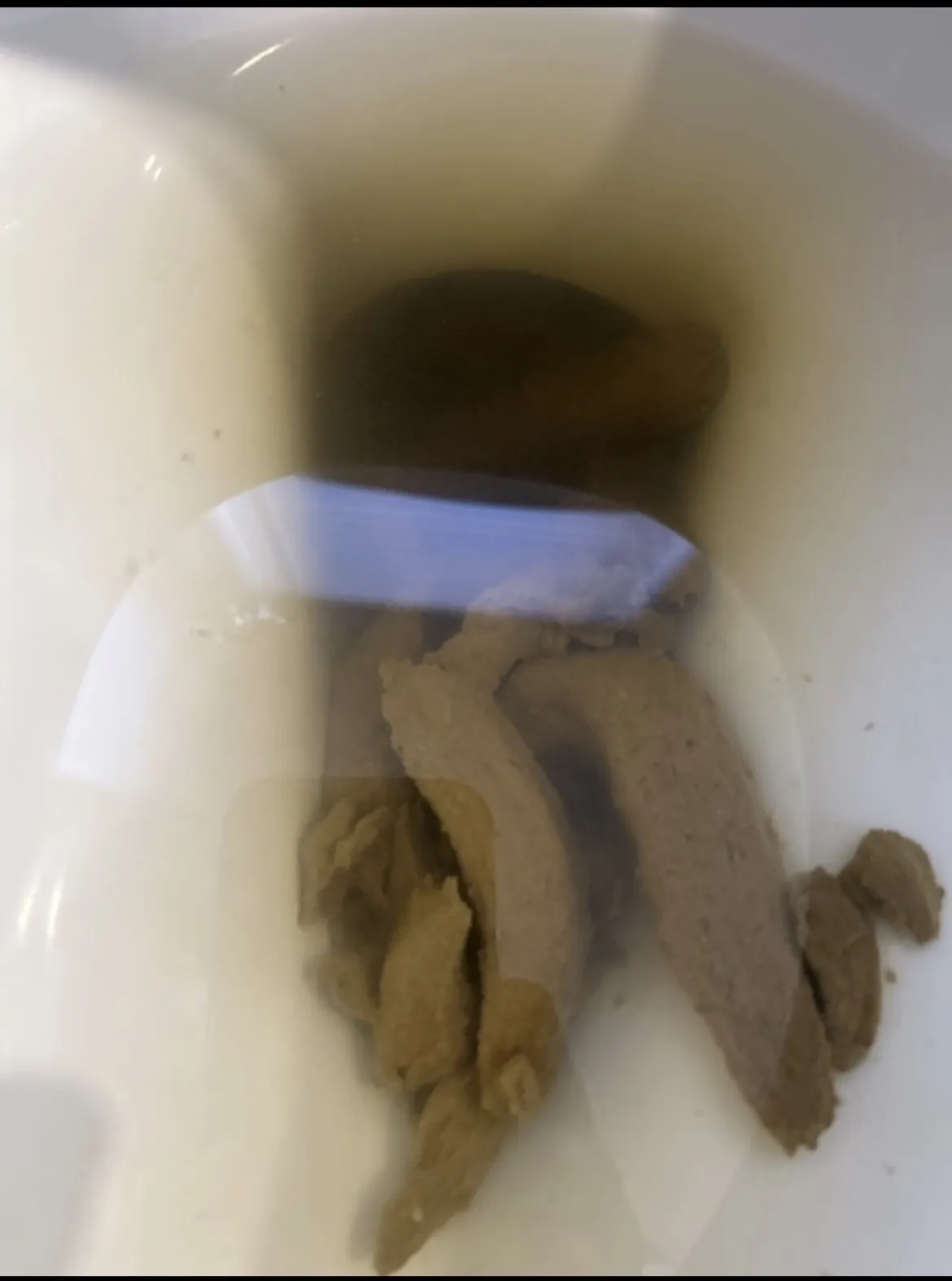 Bowl full of fun
