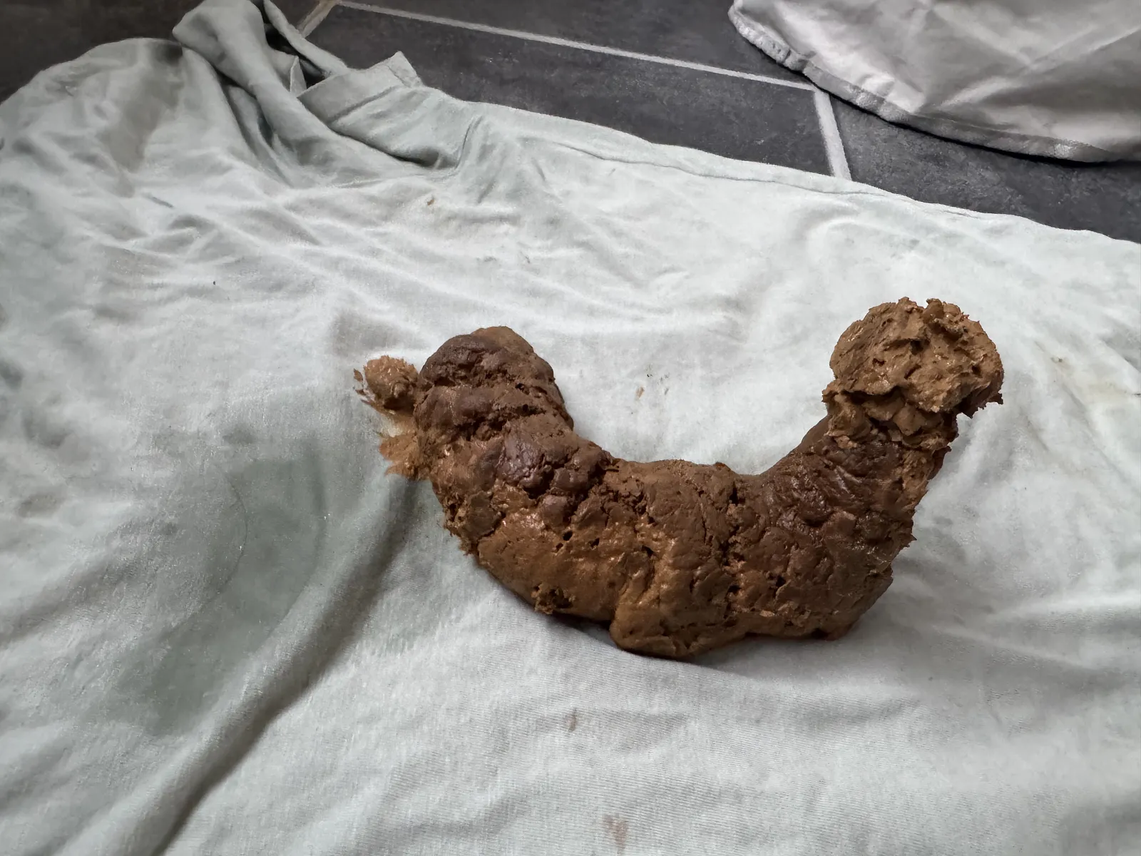 Poop