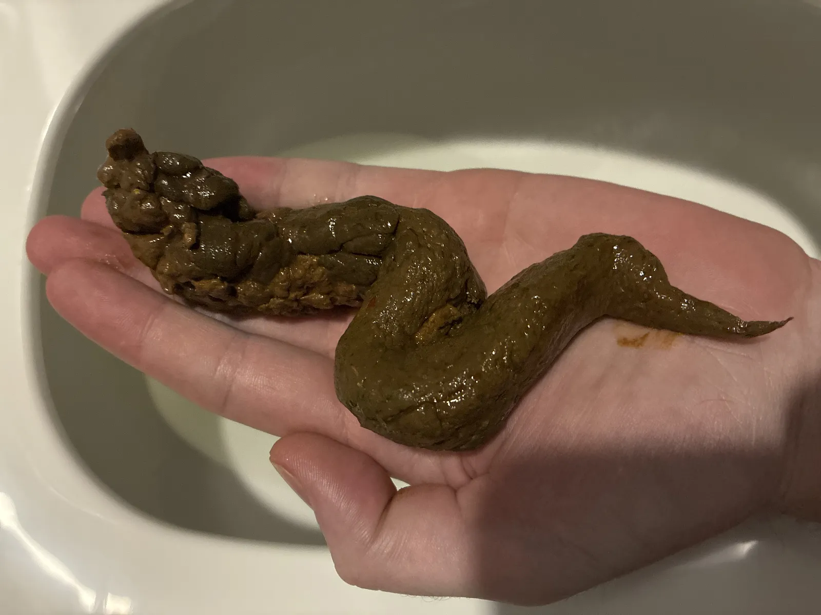 It’s a Snake!