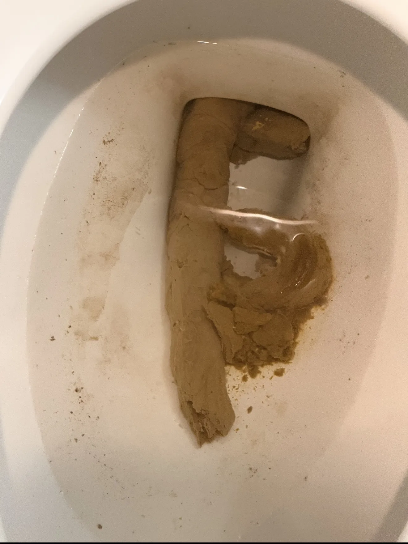 BBP ( Big Brown Poop )