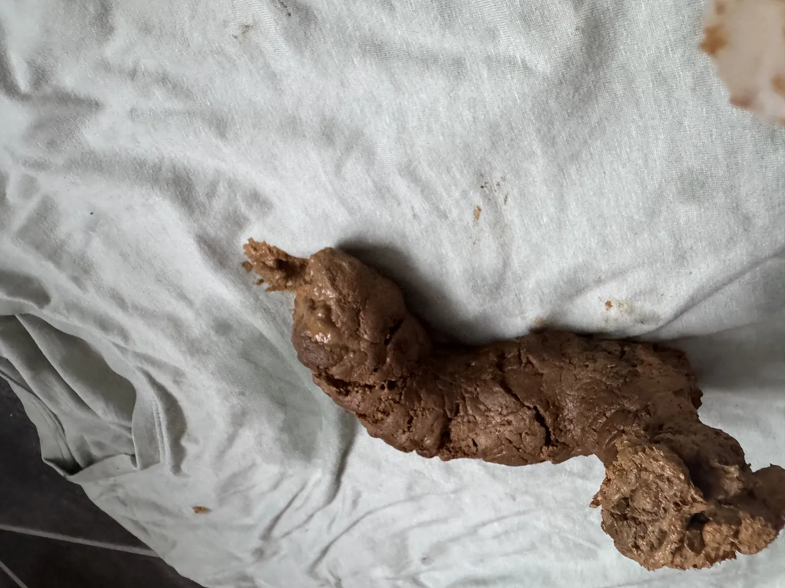 Poop big