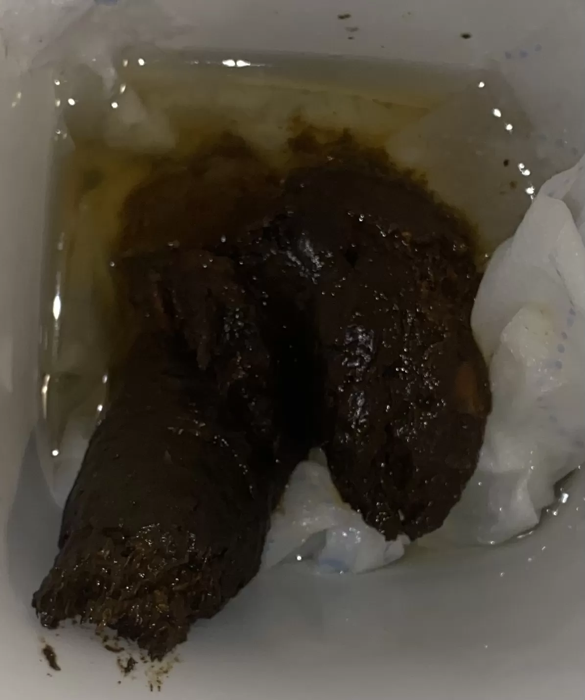 poop female italian