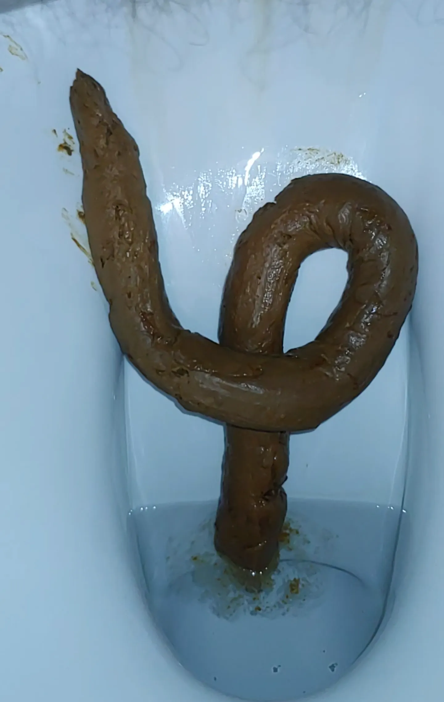 My friend Antony's turd