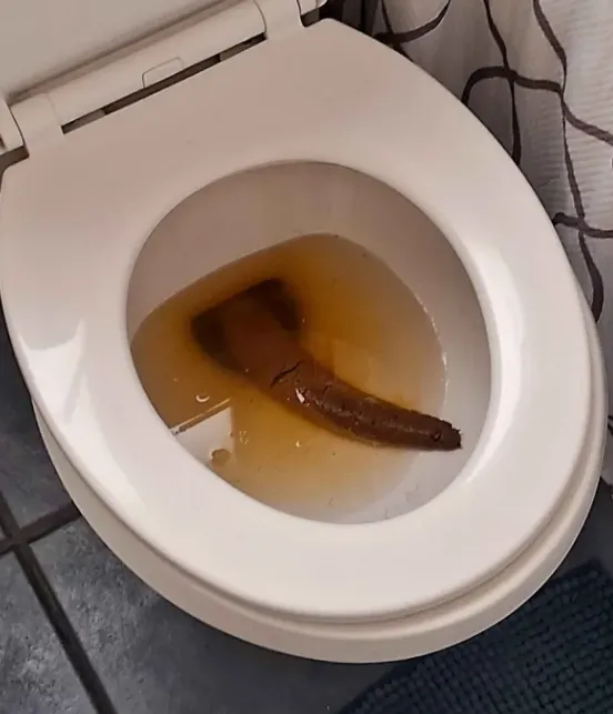big boy