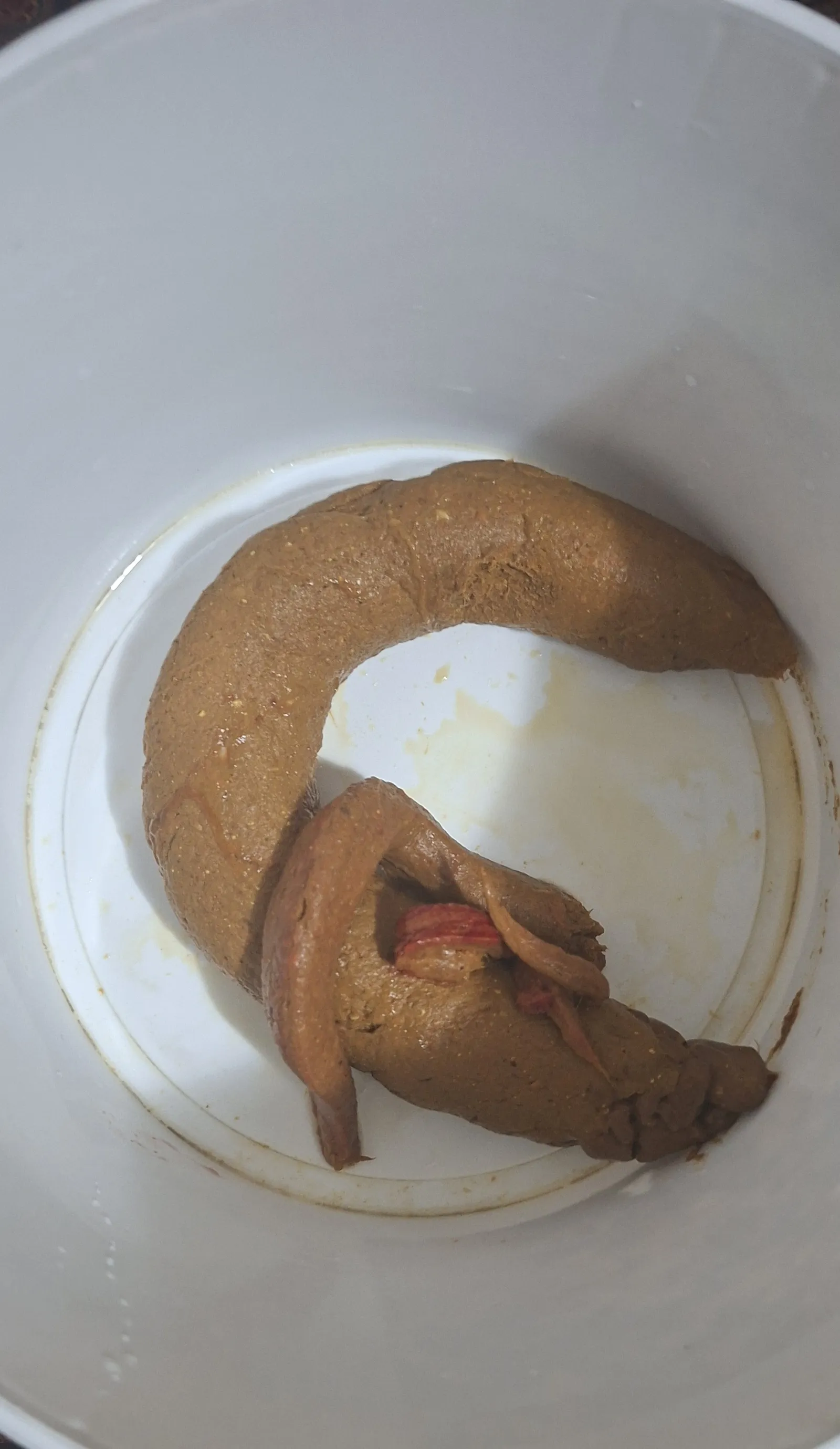 Bucket in the office