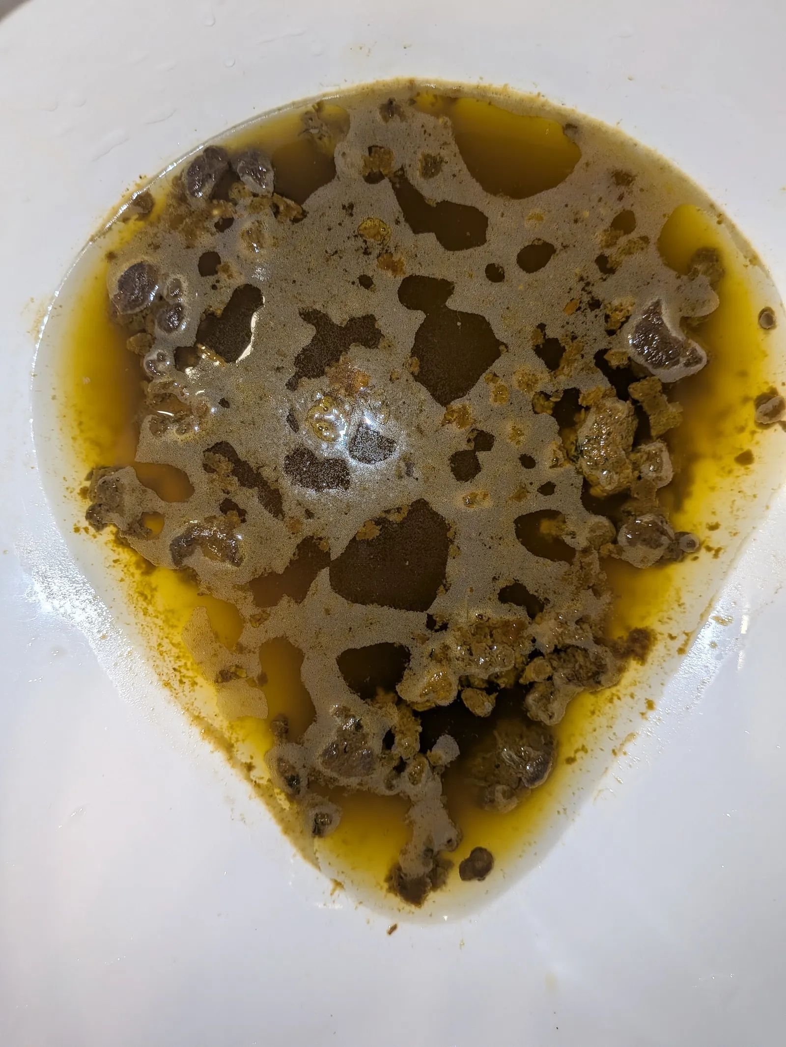 Evening Shit