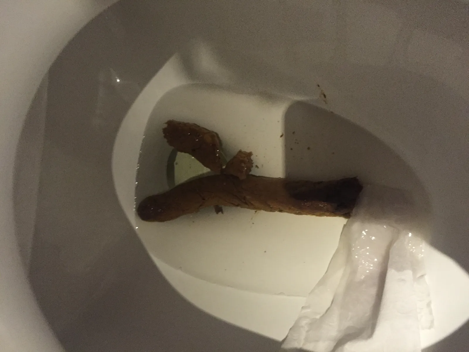 Morning log