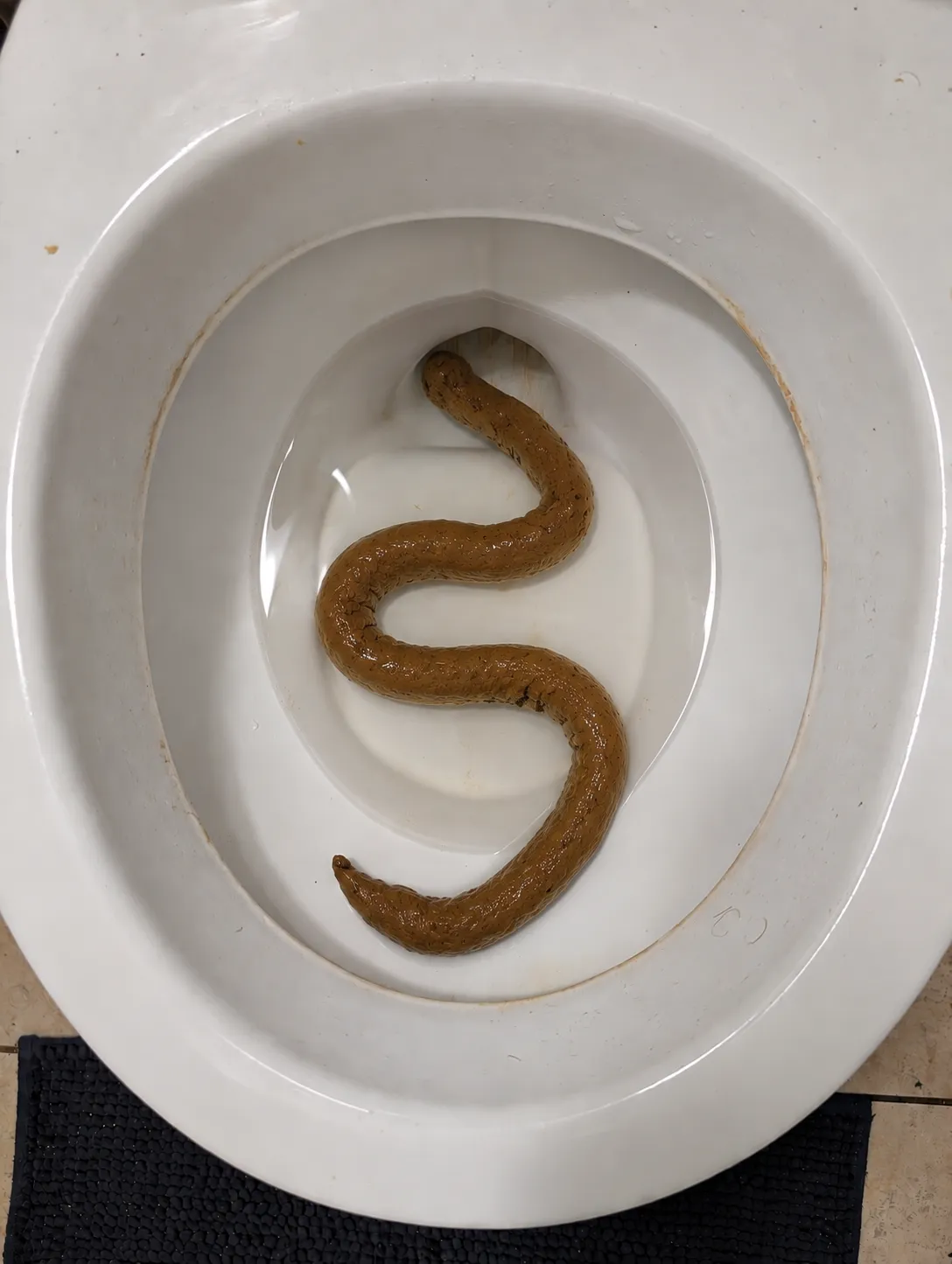 Very long Poop