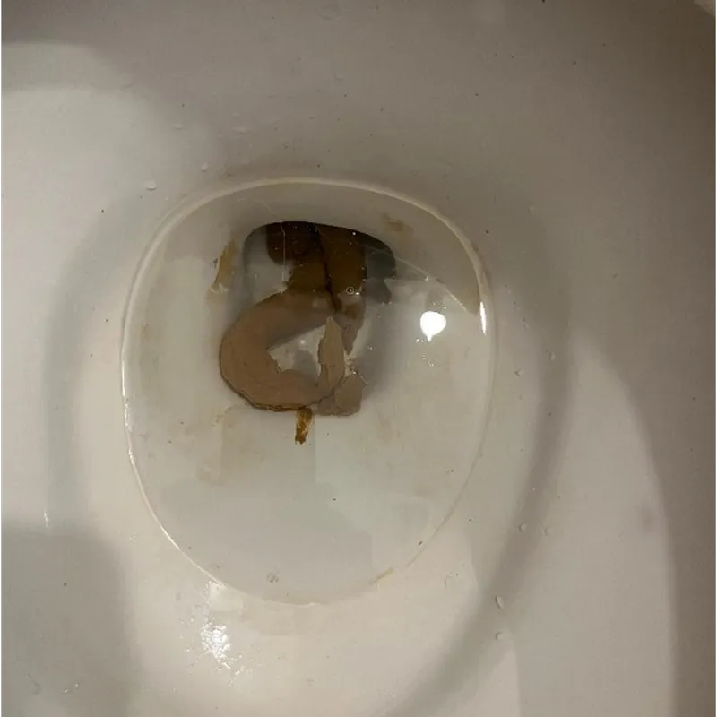 Snakes in water