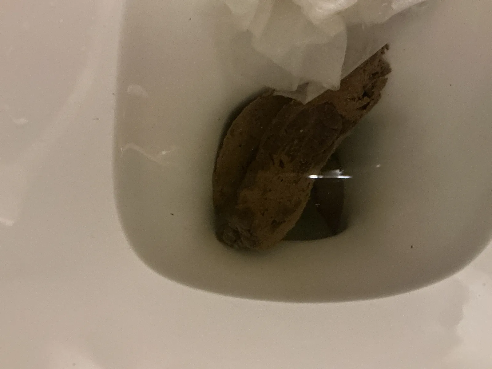Shit