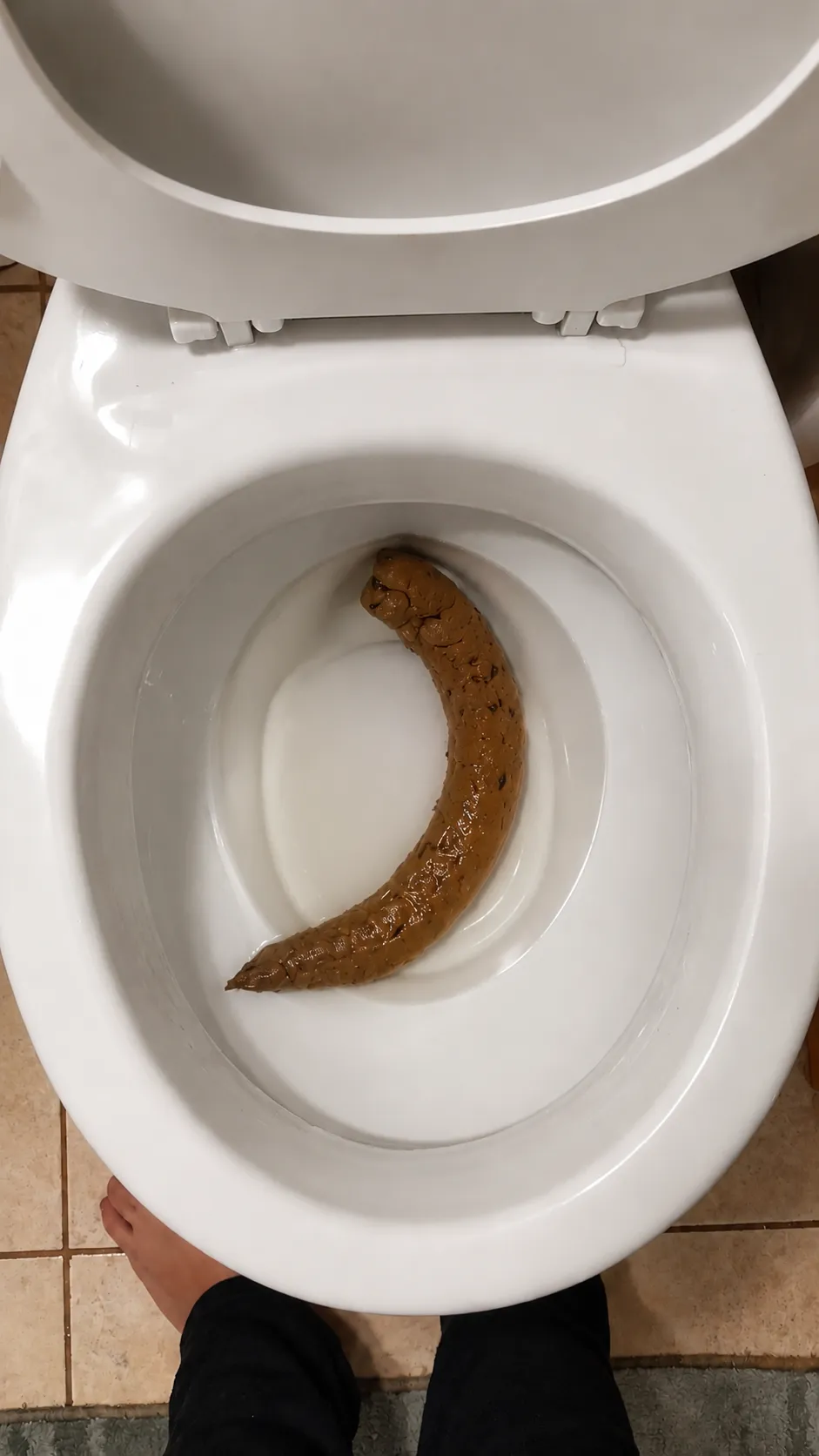 Another long Poop