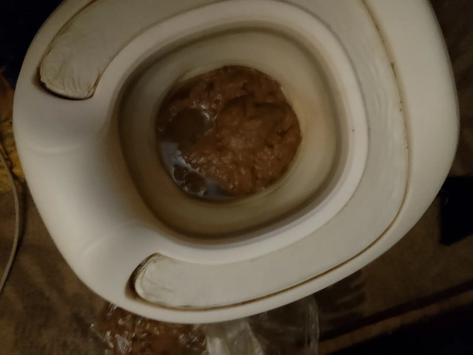 shit poop