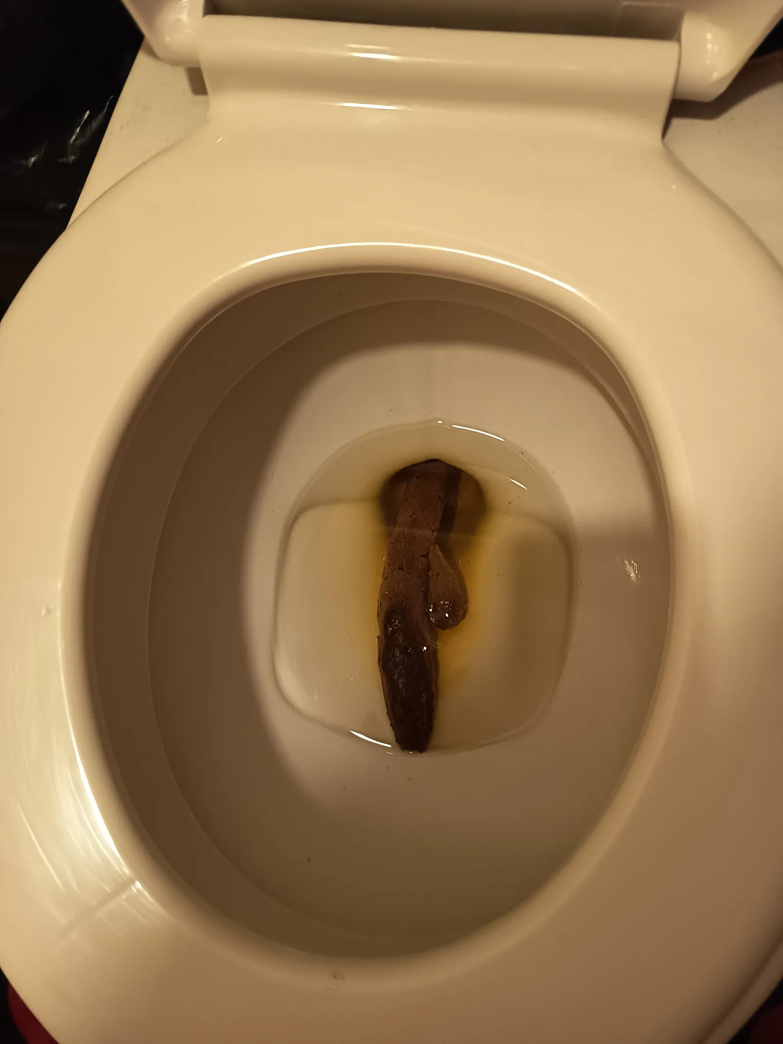 Long poo