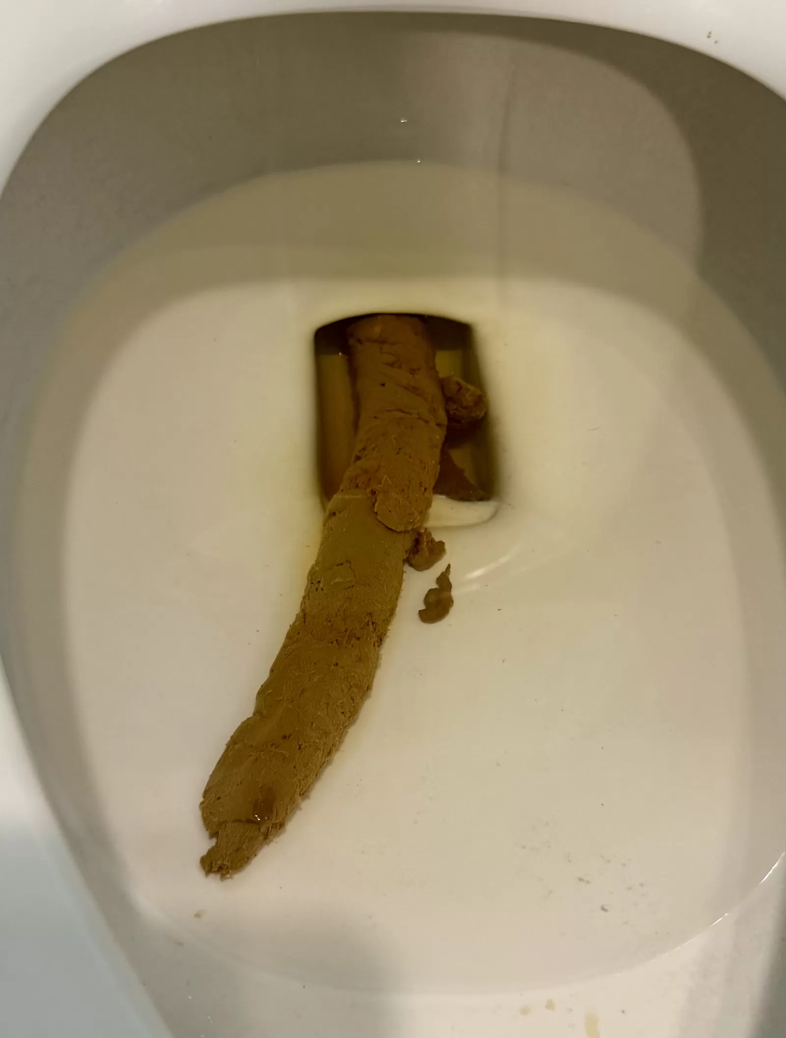 14inch beast