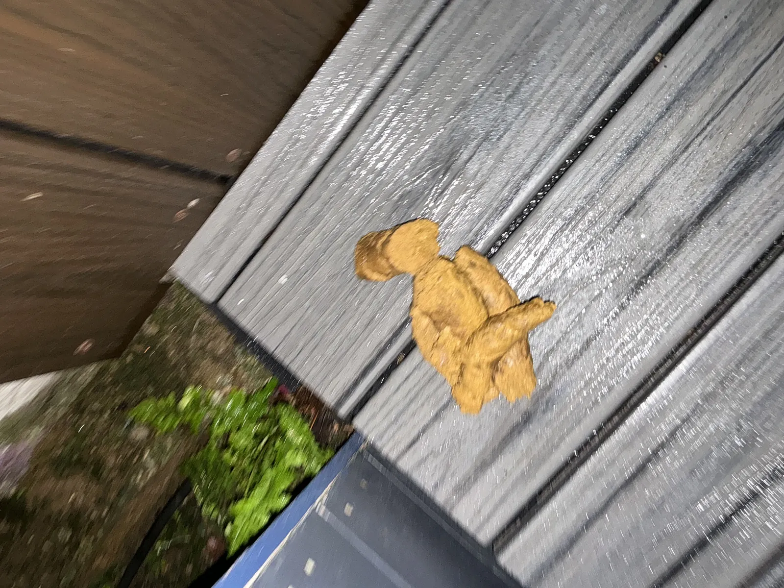 Poop big