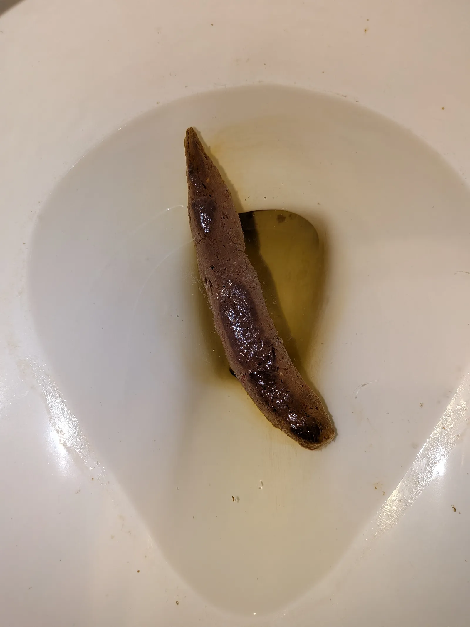 Long Boy