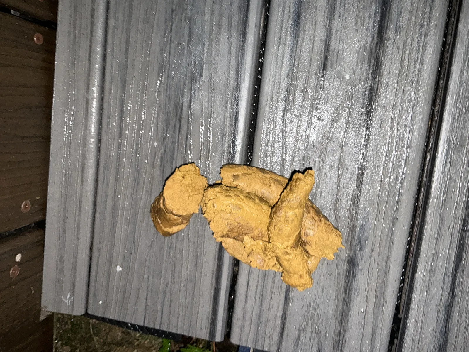 Poop Outdoors