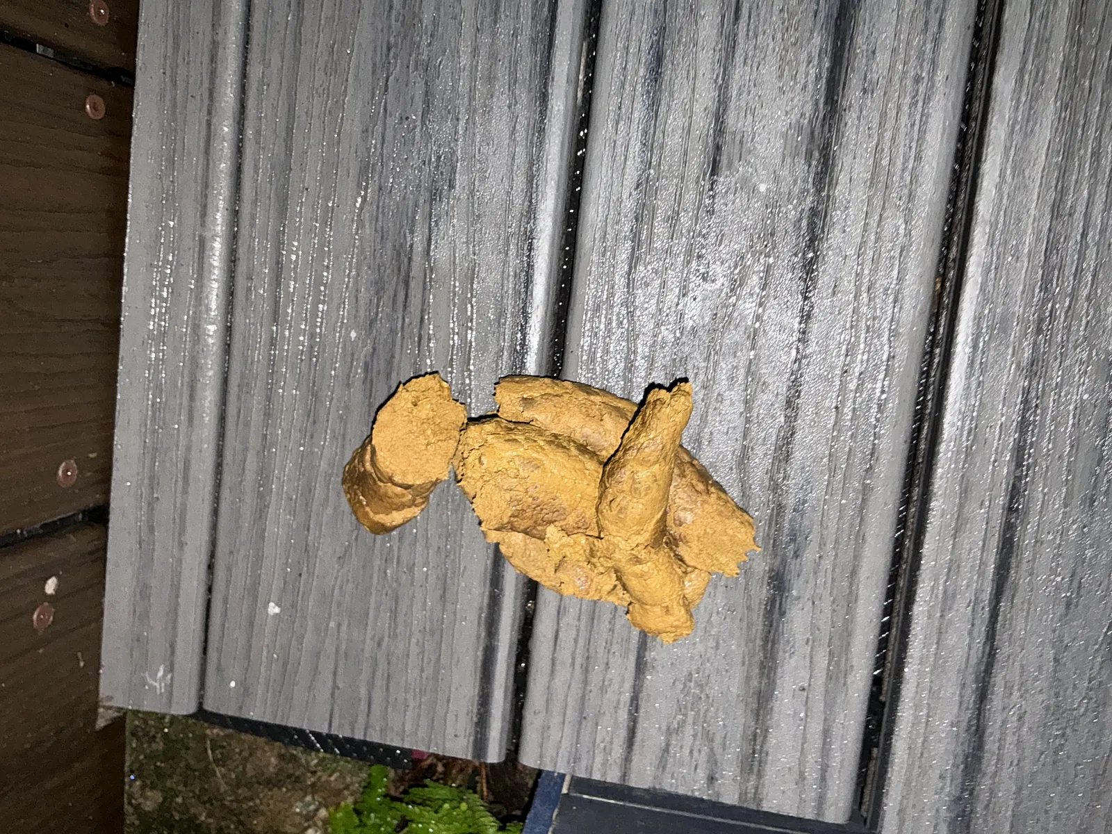 Poop Outdoors