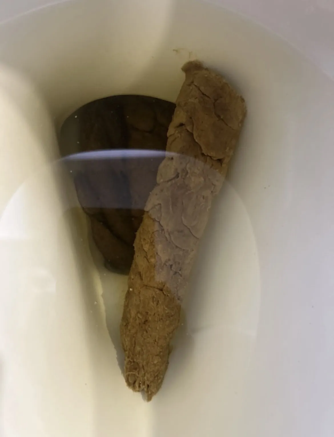 Floating log