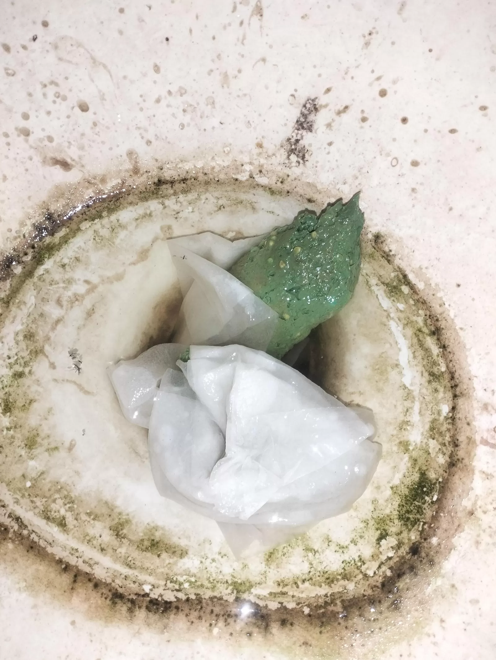 Caca azul en baño público con moho