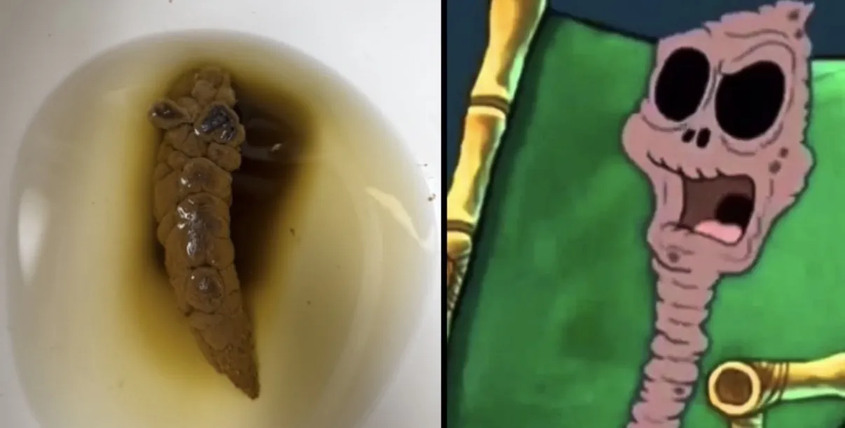 I knew it looked familiar.